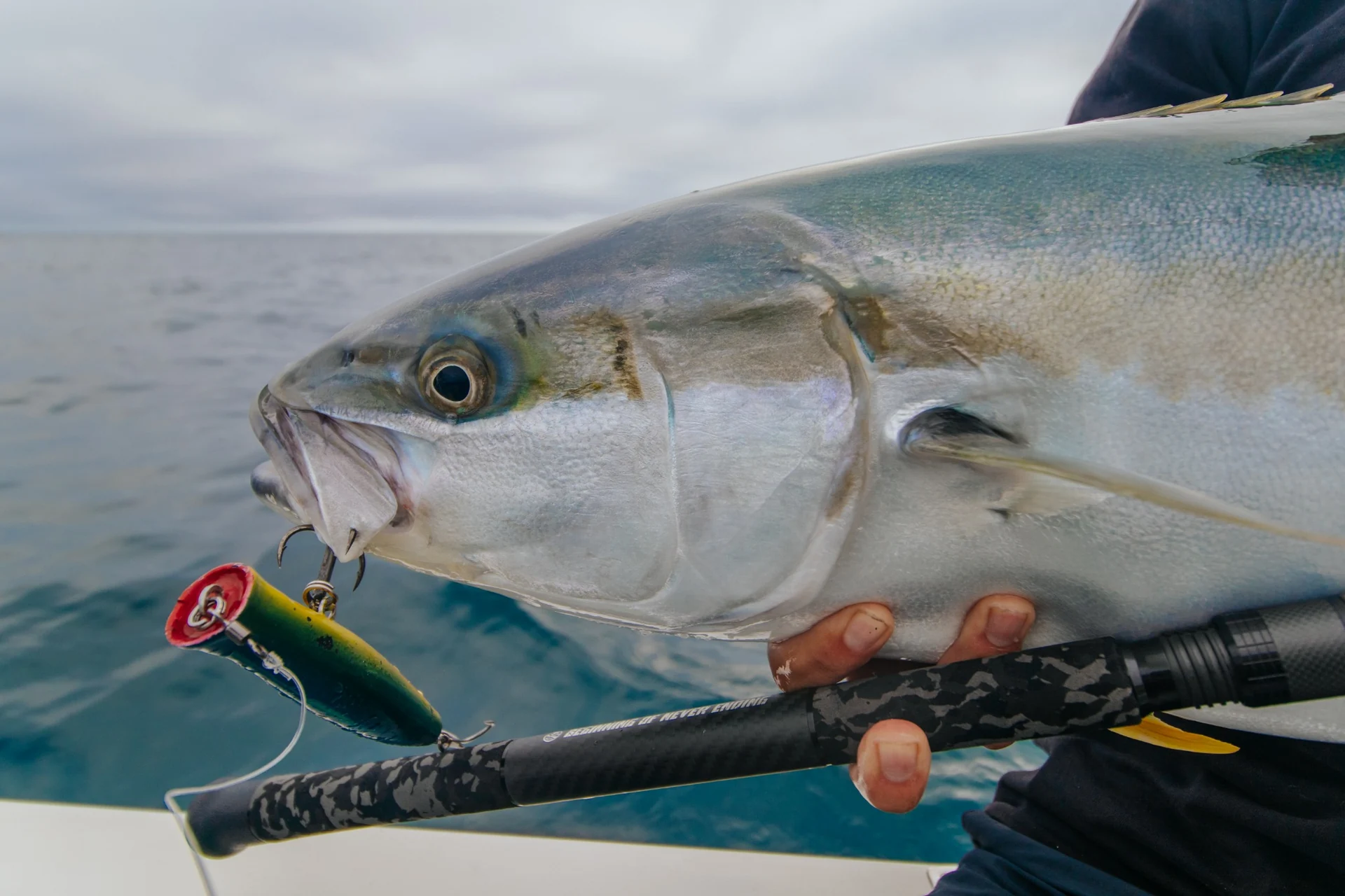 Close-up of a yellowtail kingfish with a green-and-yellow cupped-face lure at its mouth.