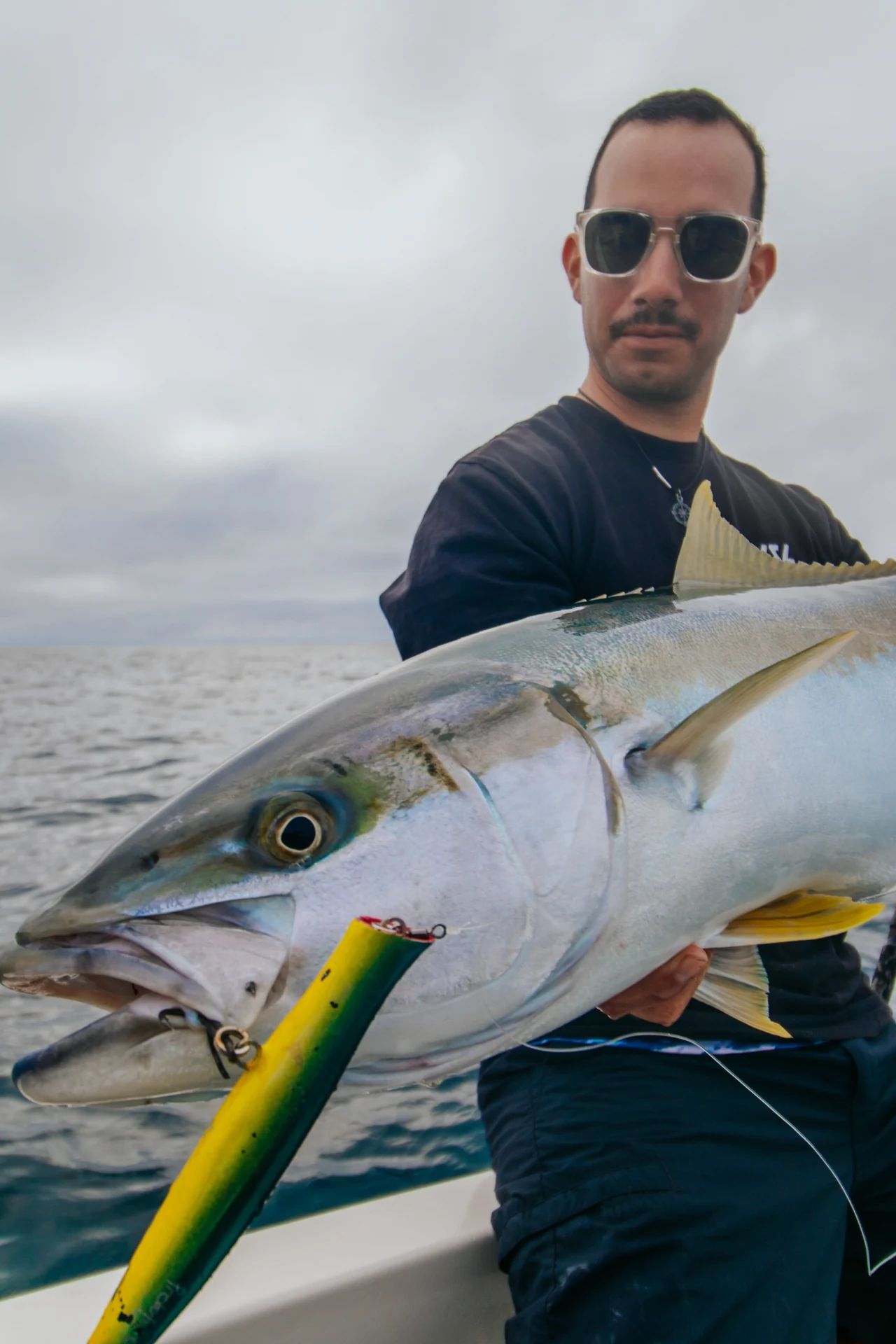 Yellowtail kingfish held aboard a boat with a green-and-yellow lure at its mouth.